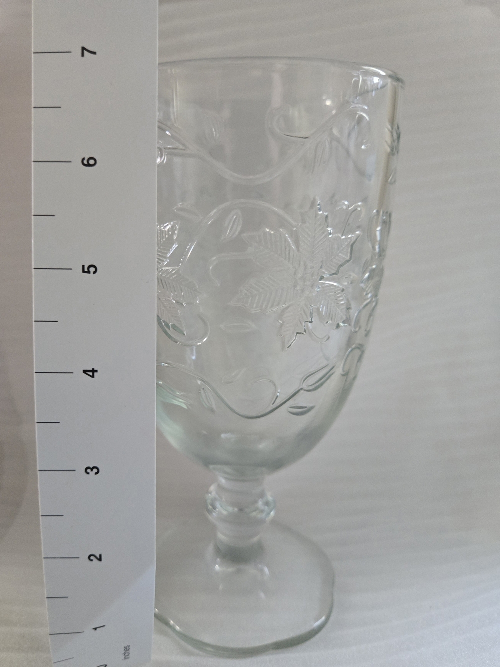 Princess House Clear Embossed Glass Goblet - Elegant Dining Glassware